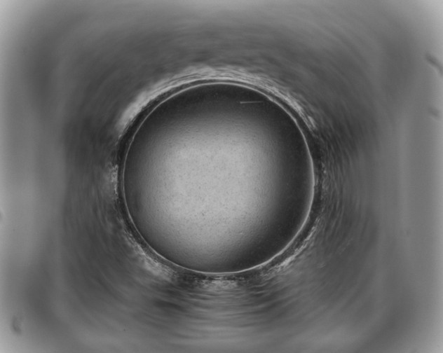 X0000096941503200802151203