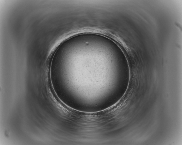 X0000096941504200802151203