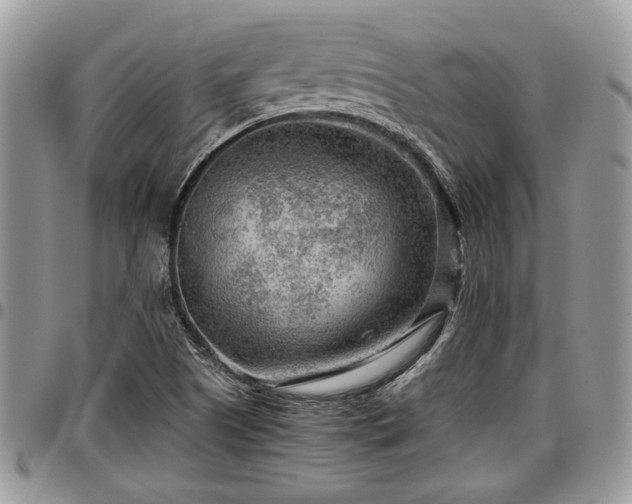 X0000096941505200802151203
