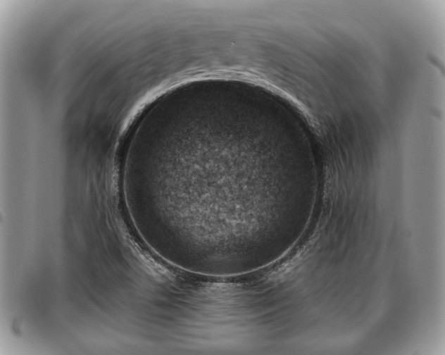 X0000096941506200802151203