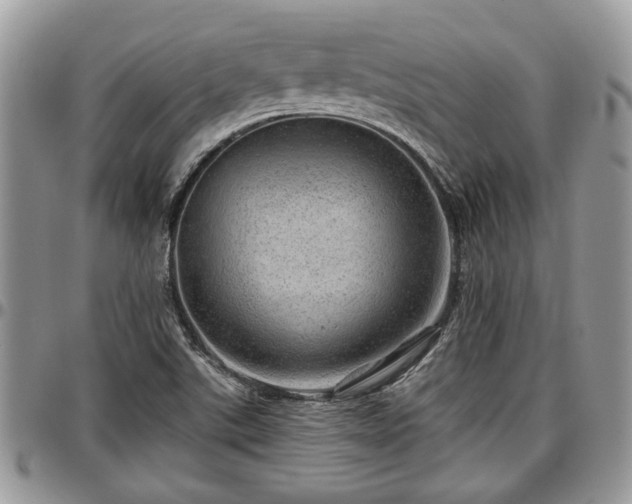 X0000096941507200802151203