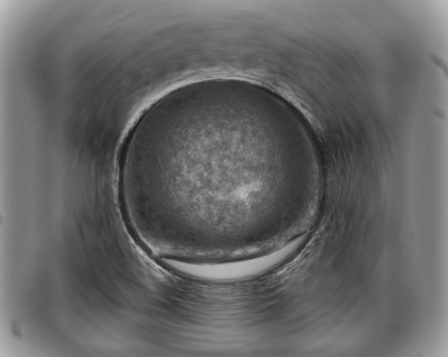 X0000096941508200802151203