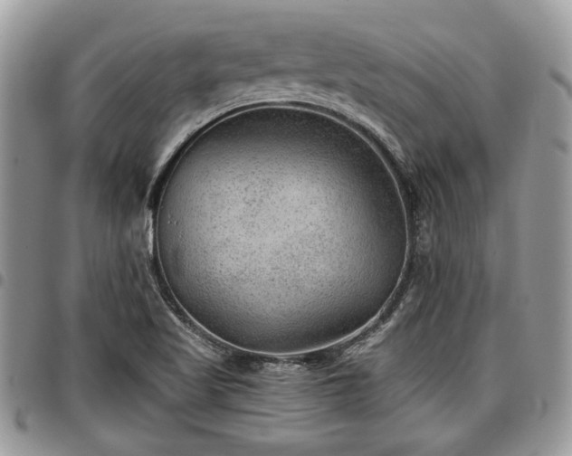 X0000096941509200802151203