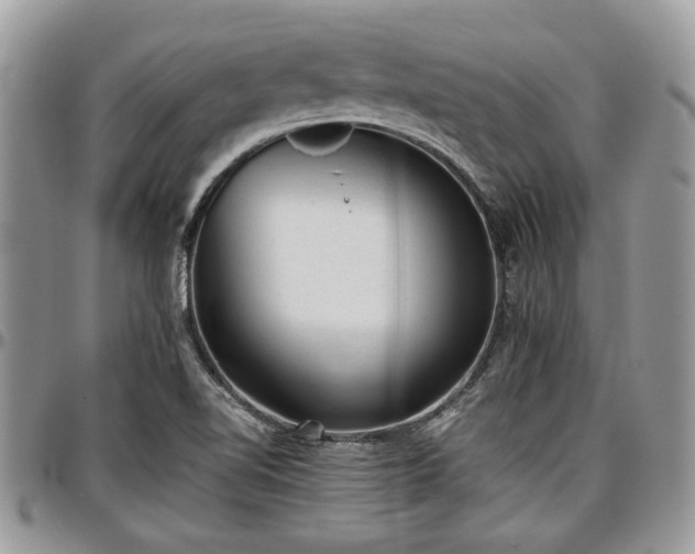 X0000096941510200802151203