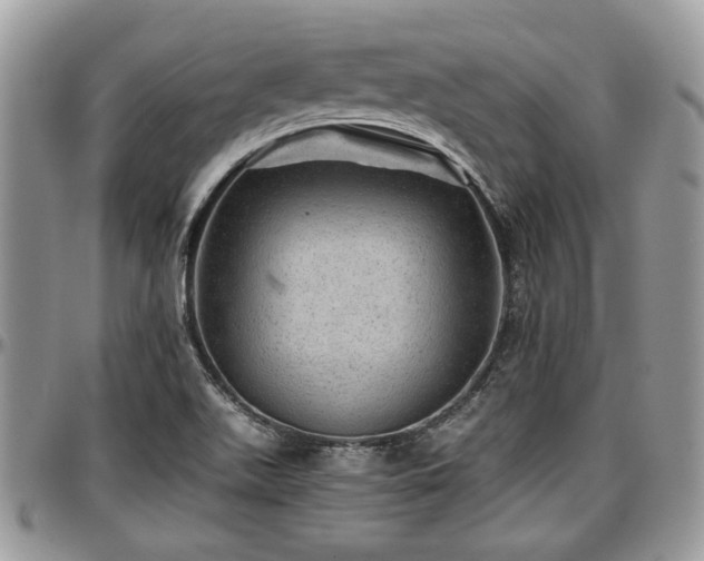 X0000096941511200802151203