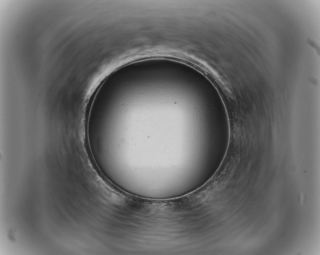 X0000096941512200802151203