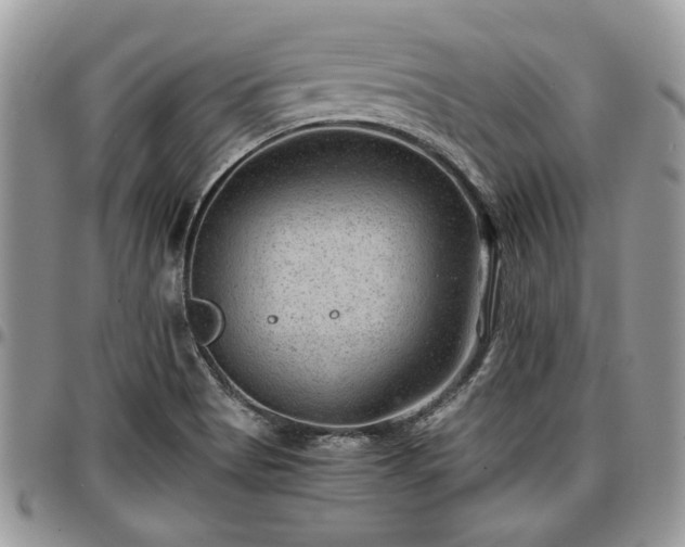 X0000096941513200802151203