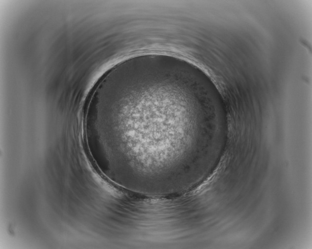 X0000096941515200802151203
