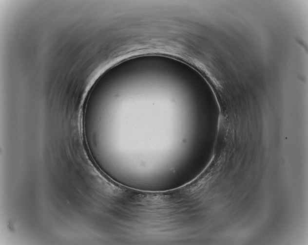 X0000096941516200802151203