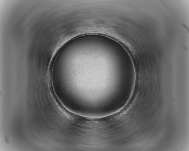 X0000096941517200802151203