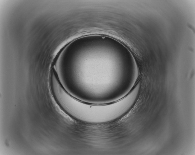 X0000096941518200802151203