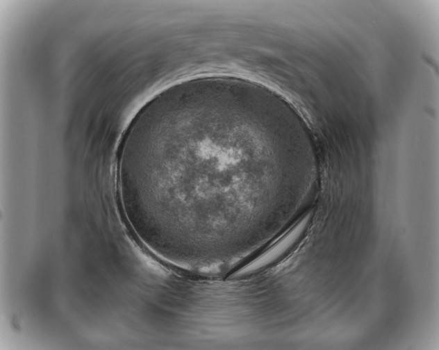 X0000096941519200802151203