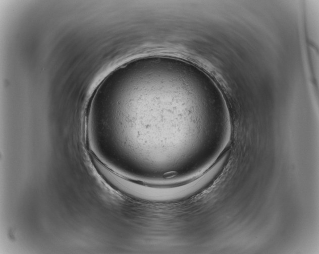 X0000096941520200802151203