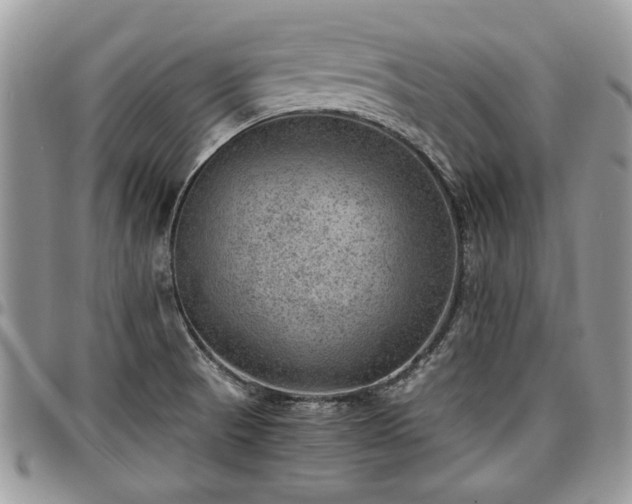 X0000096941521200802151203