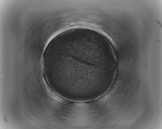 X0000096941522200802151203