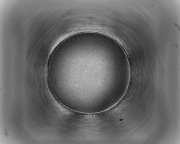 X0000096941523200802151203