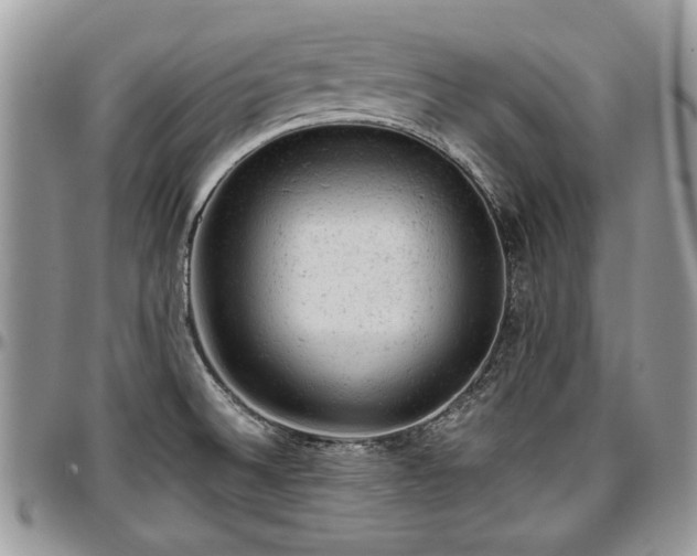 X0000096941524200802151203