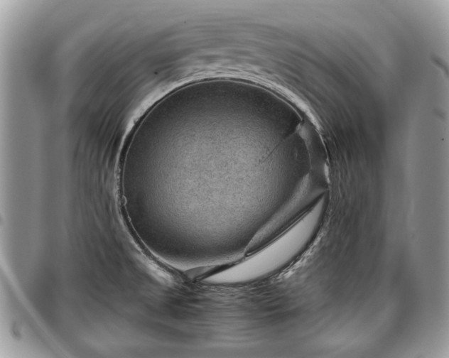 X0000096941525200802151203