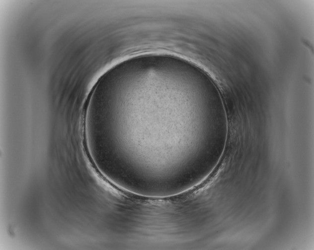 X0000096941526200802151203