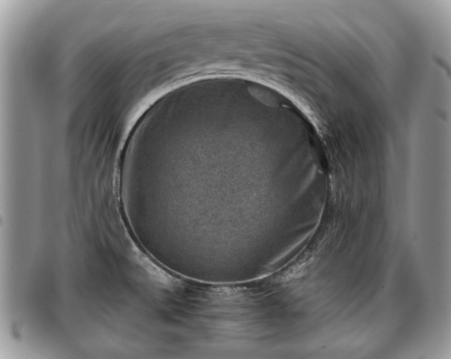 X0000096941527200802151203