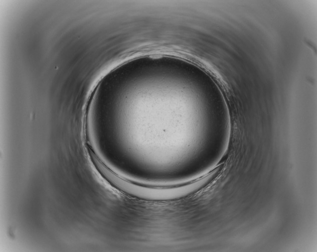 X0000096941528200802151203