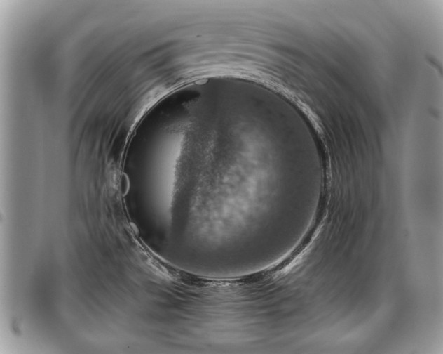X0000096941529200802151203