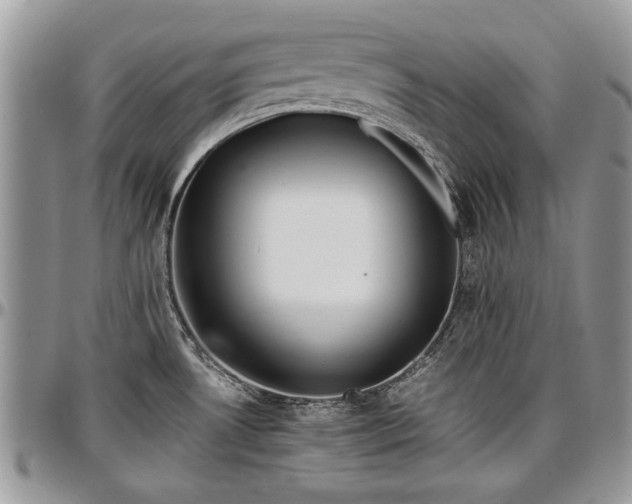 X0000096941530200802151203