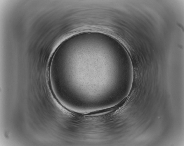 X0000096941531200802151203