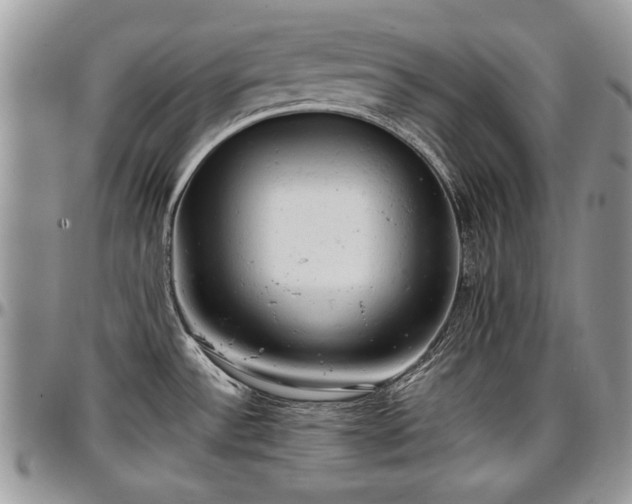 X0000096941532200802151203