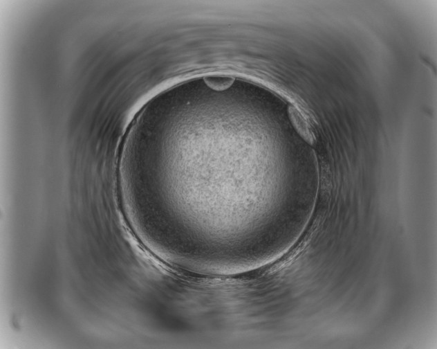 X0000096941534200802151203