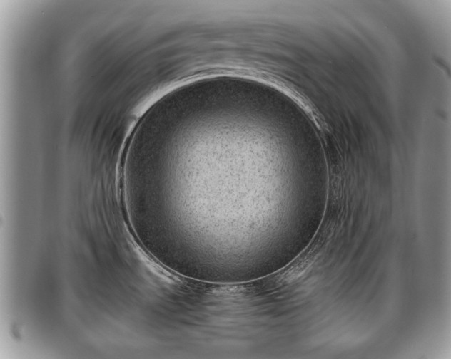 X0000096941535200802151203