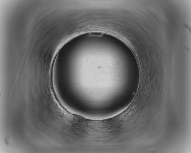 X0000096941536200802151203