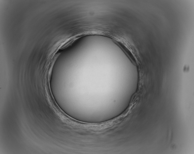 X0000096940001200802221330