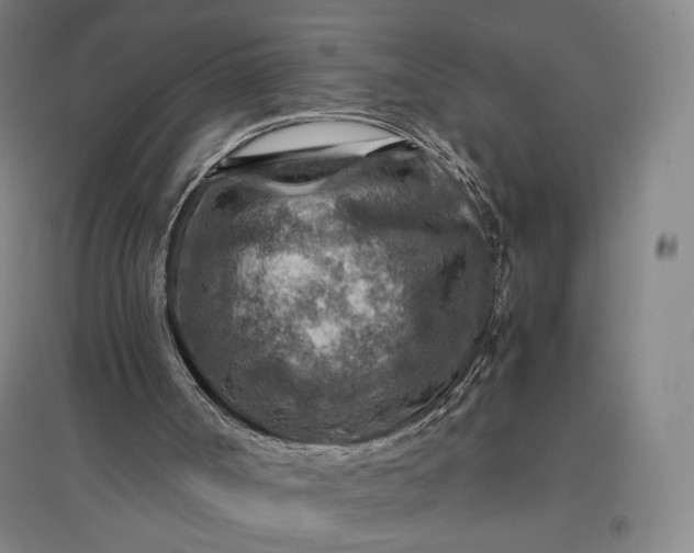 X0000096940002200802221330