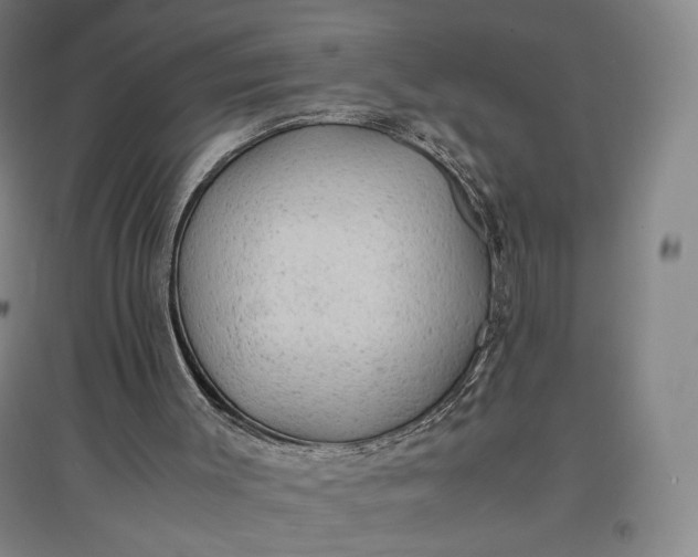 X0000096940003200802221330