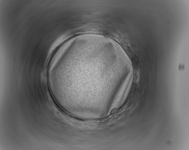 X0000096940004200802221330