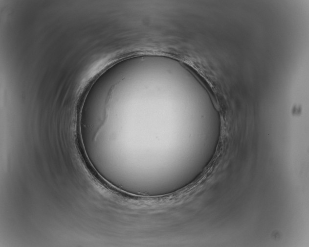 X0000096940005200802221330