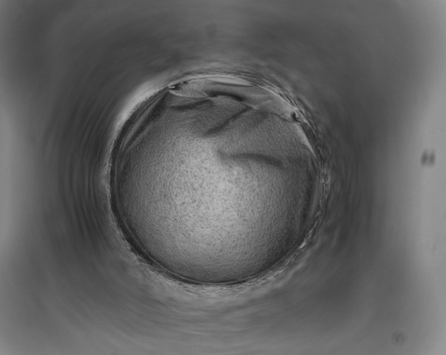 X0000096940006200802221330