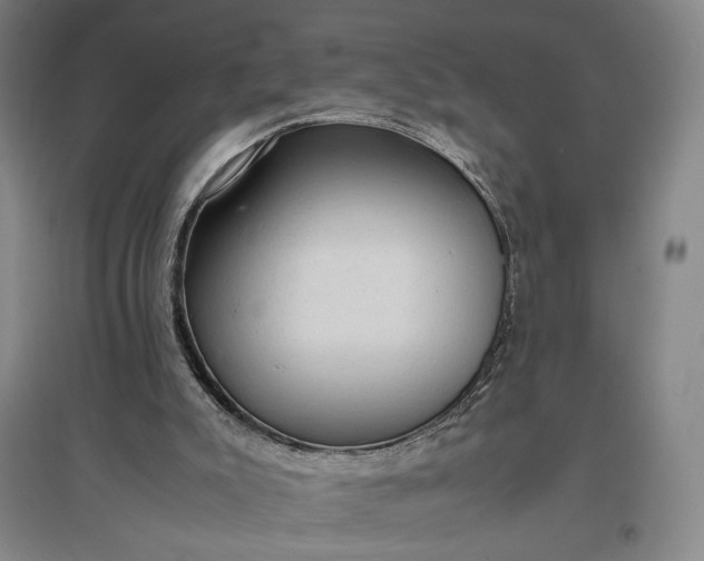 X0000096940007200802221330