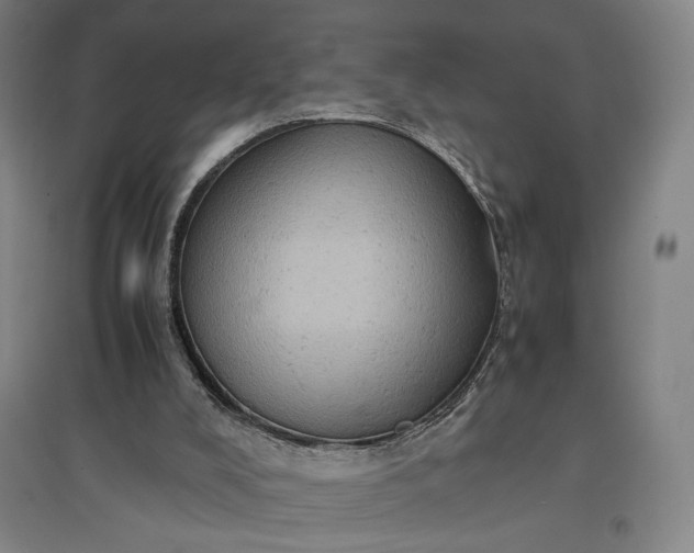 X0000096940008200802221330