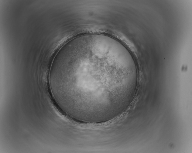 X0000096940009200802221330