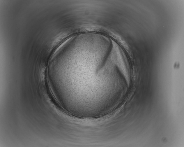 X0000096940010200802221330