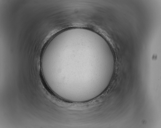 X0000096940011200802221330