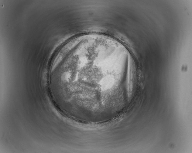 X0000096940012200802221330