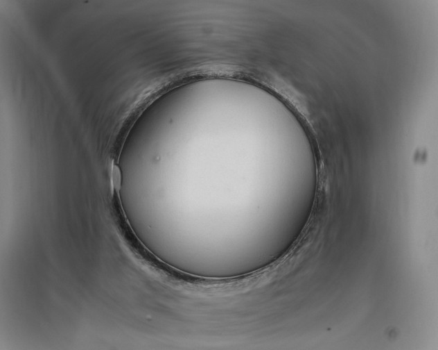 X0000096940013200802221330