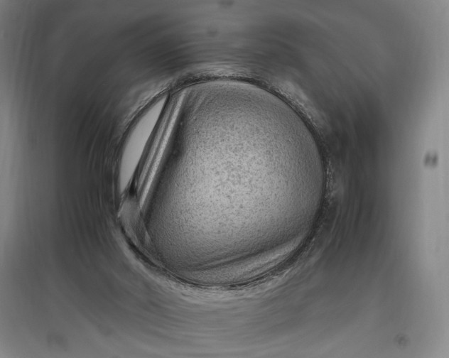 X0000096940014200802221330