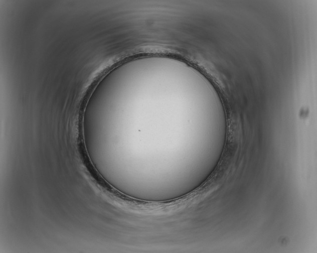 X0000096940015200802221330