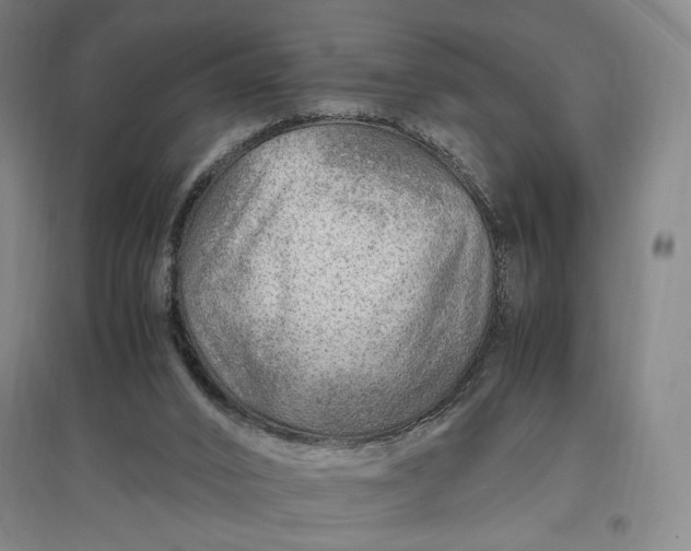 X0000096940016200802221330