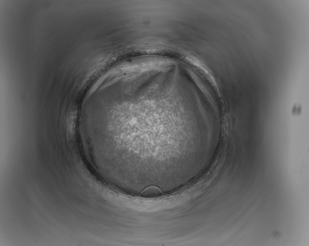 X0000096940018200802221330