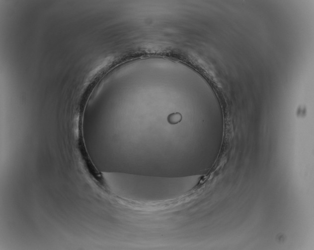 X0000096940019200802221330